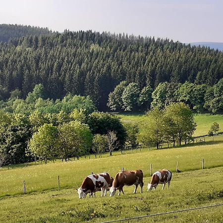 Ferienwohnung Jule Incl Sommer Card Winterberg Zewnętrze zdjęcie