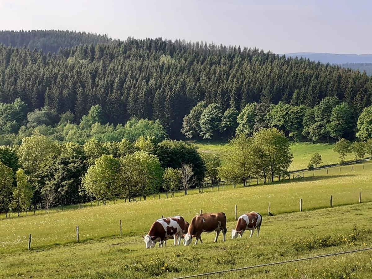 Ferienwohnung Jule Incl Sommer Card Winterberg Zewnętrze zdjęcie