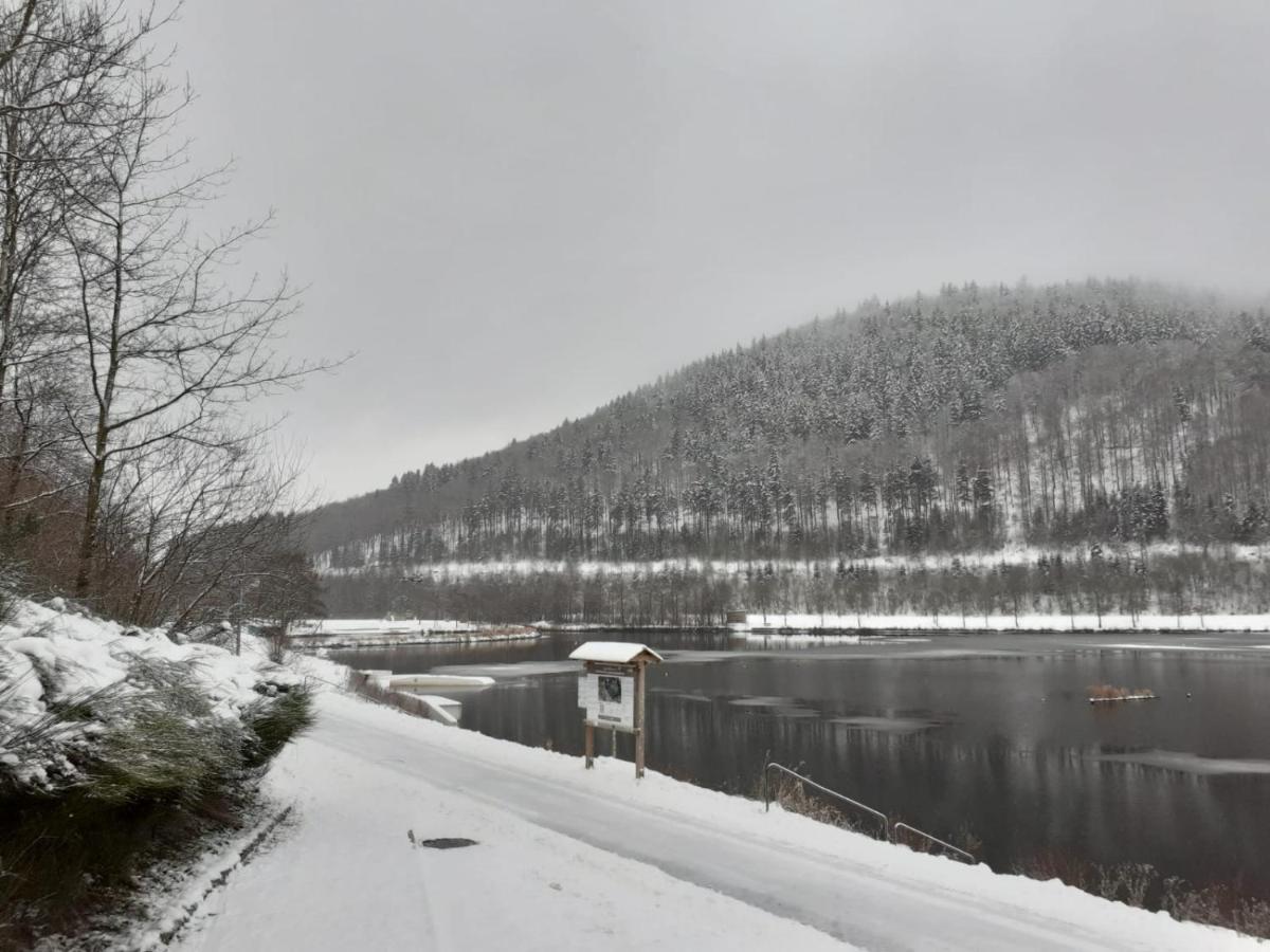 Ferienwohnung Jule Incl Sommer Card Winterberg Zewnętrze zdjęcie